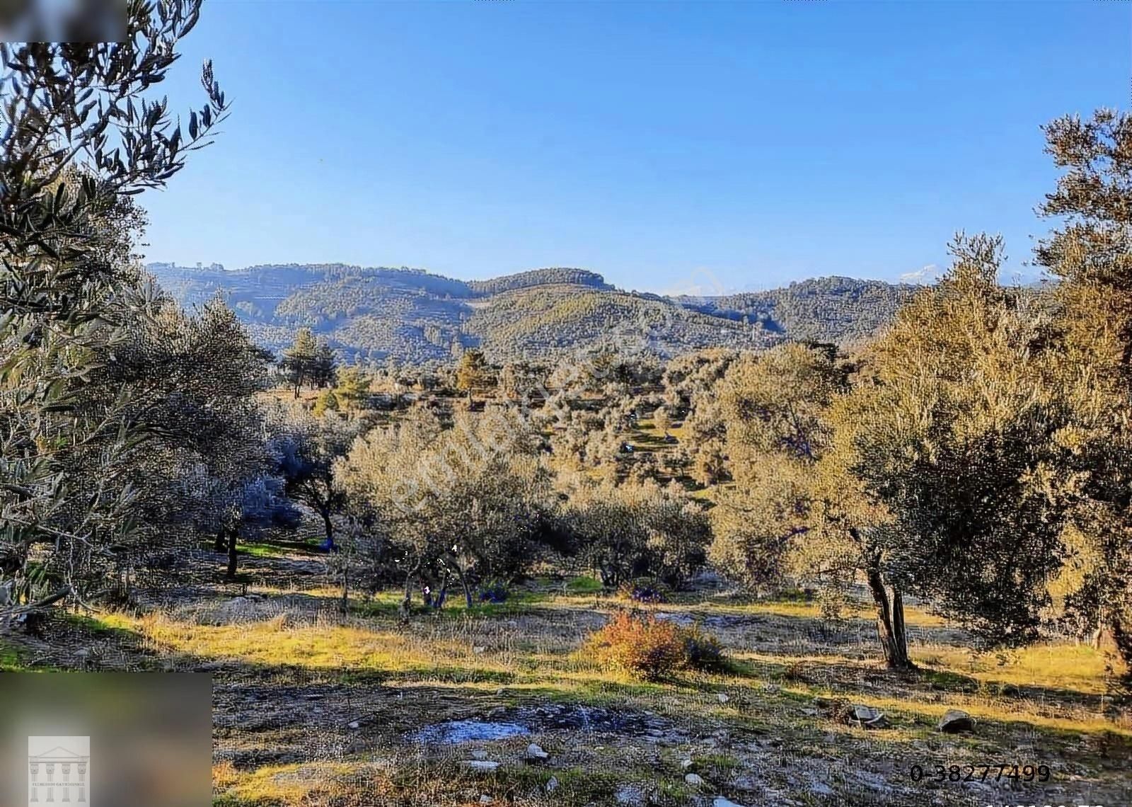 Seydikemer Sarıyer Satılık Tarla Seydikemer Sarıyerde Yeni Hastane Karşısı Satılık Yatırımlık Arsa