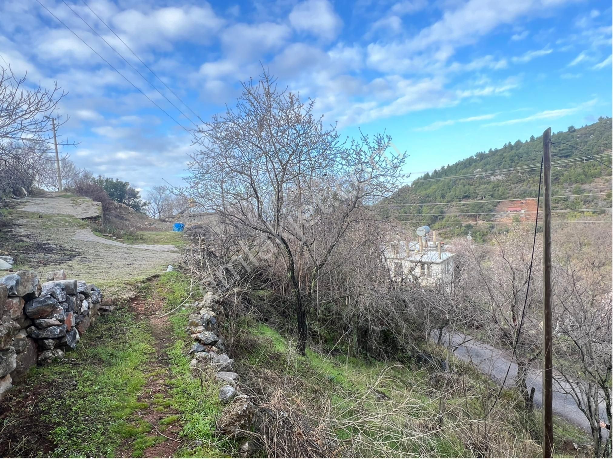 Alanya Orhan Satılık Tarla Alanya Orhan Mahallesi Köy İçi Bahçe