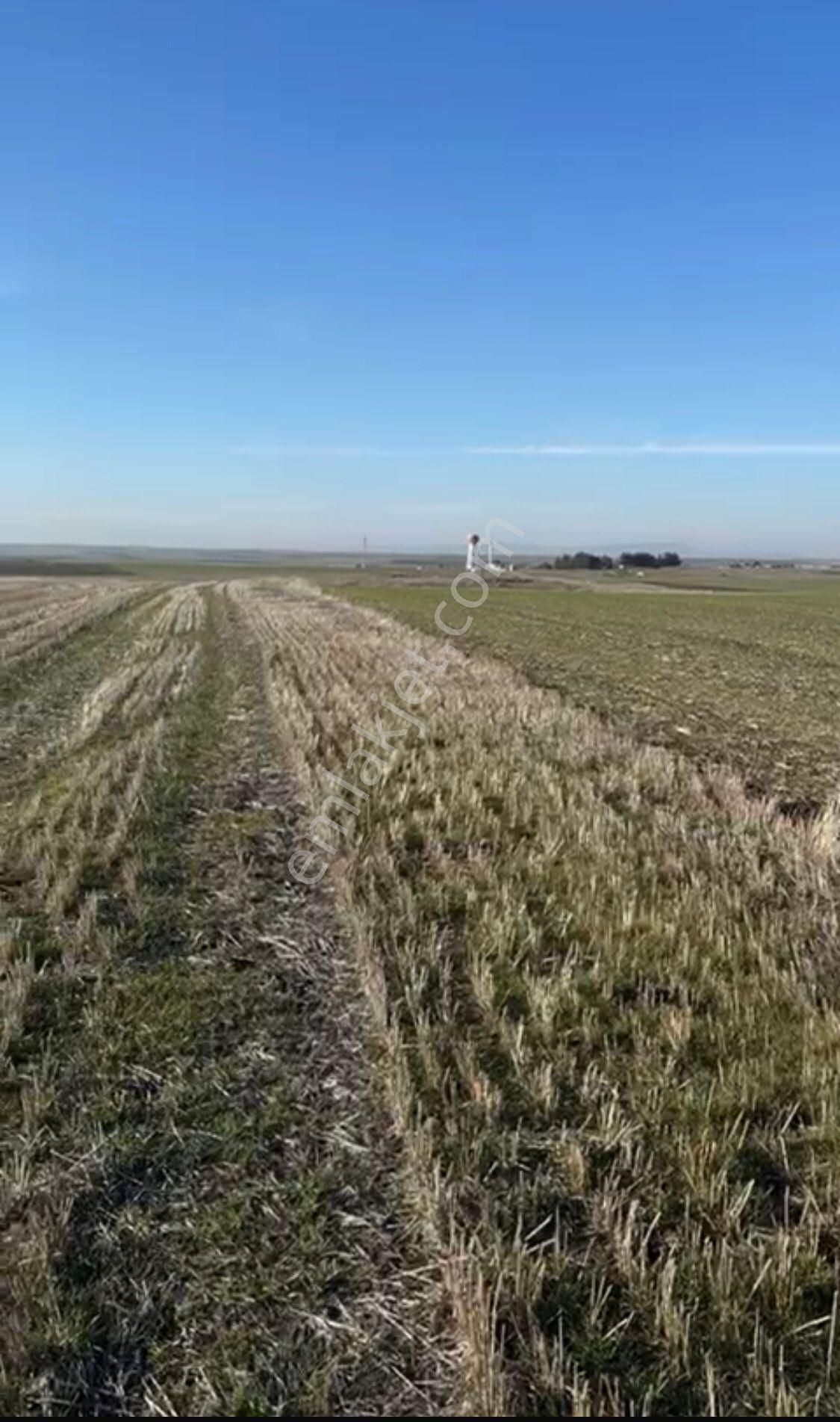 Edirne Merkez Demirhanlı Köyü Satılık Tarla Edirne Merkez Demirhanlı Köyü Satılık Arsa , 261 M2 Hisseli