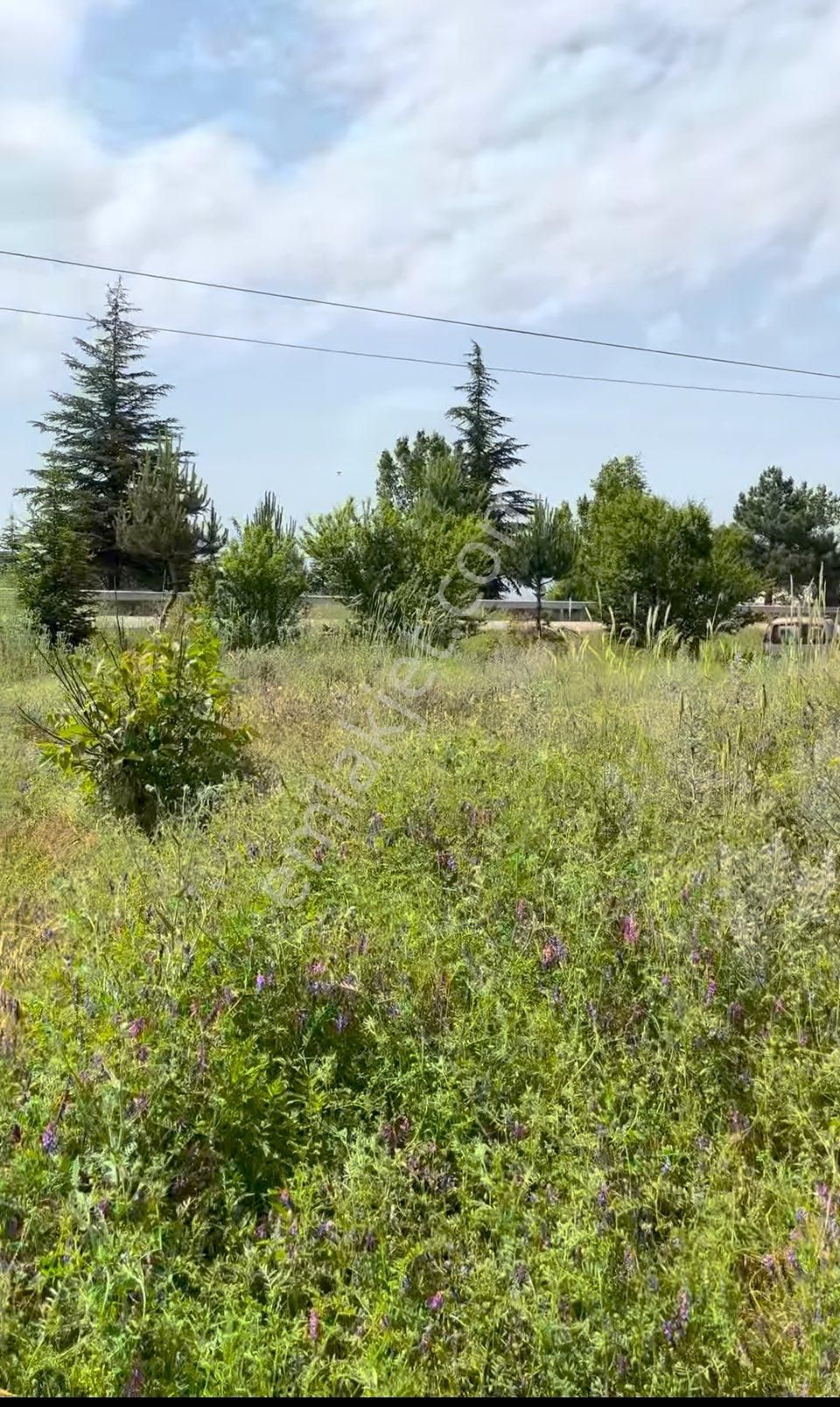 Isparta Merkez Aliköy Köyü Satılık Tarla Eğridir Yoluna Sıfır Şehir Merkezine 6 Km