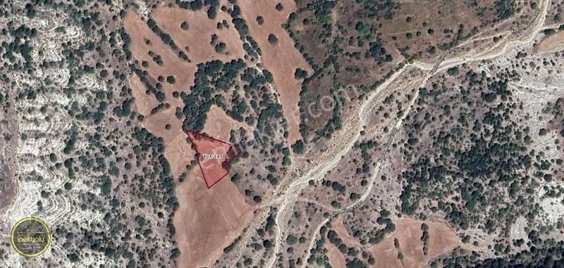 Beypazarı Kaplan Satılık Tarla İpekyolu Gayrimenkul Kaplan 2092 M2 Satılık Tarla