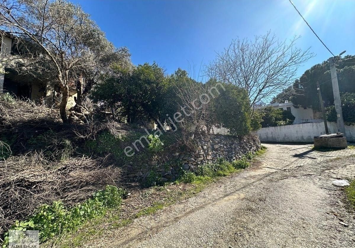 Milas Danışment Mahallesinde 557m2 İçerisinde Köy Evi Satılıktır - Görsel 8