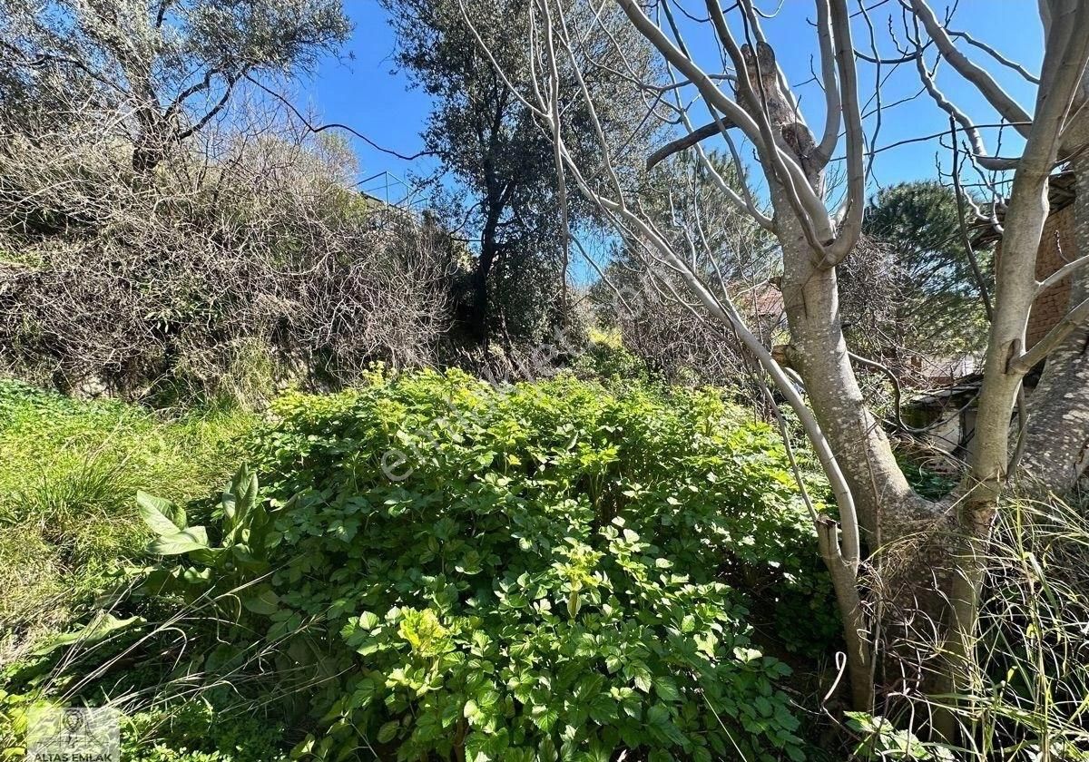 Milas Danışment Mahallesinde 557m2 İçerisinde Köy Evi Satılıktır - Görsel 26