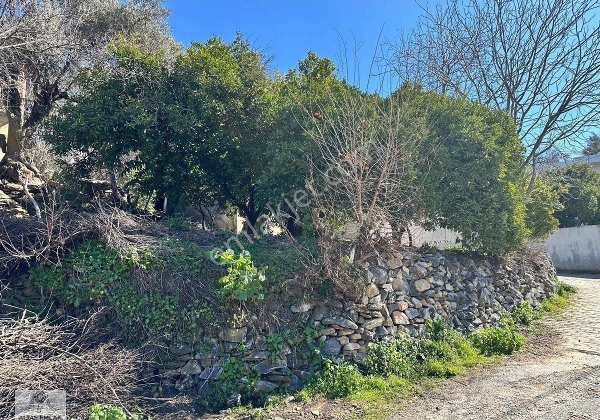 Milas Danışment Mahallesinde 557m2 İçerisinde Köy Evi Satılıktır - Görsel 14