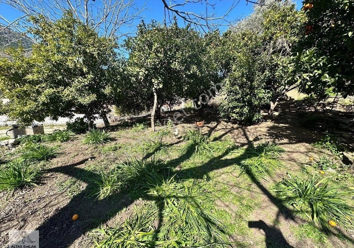 Milas Danışment Mahallesinde 557m2 İçerisinde Köy Evi Satılıktır - Görsel 7
