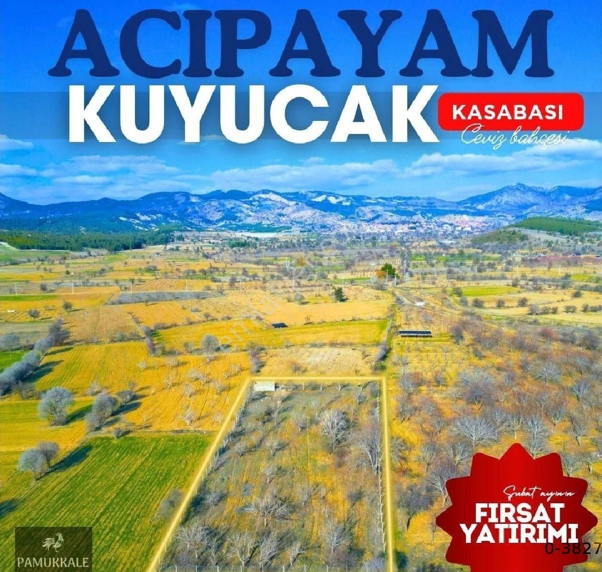 Acıpayam Kuyucak Satılık Bağ & Bahçe Acıpayam / Kuyucak Ceviz Bahçesi