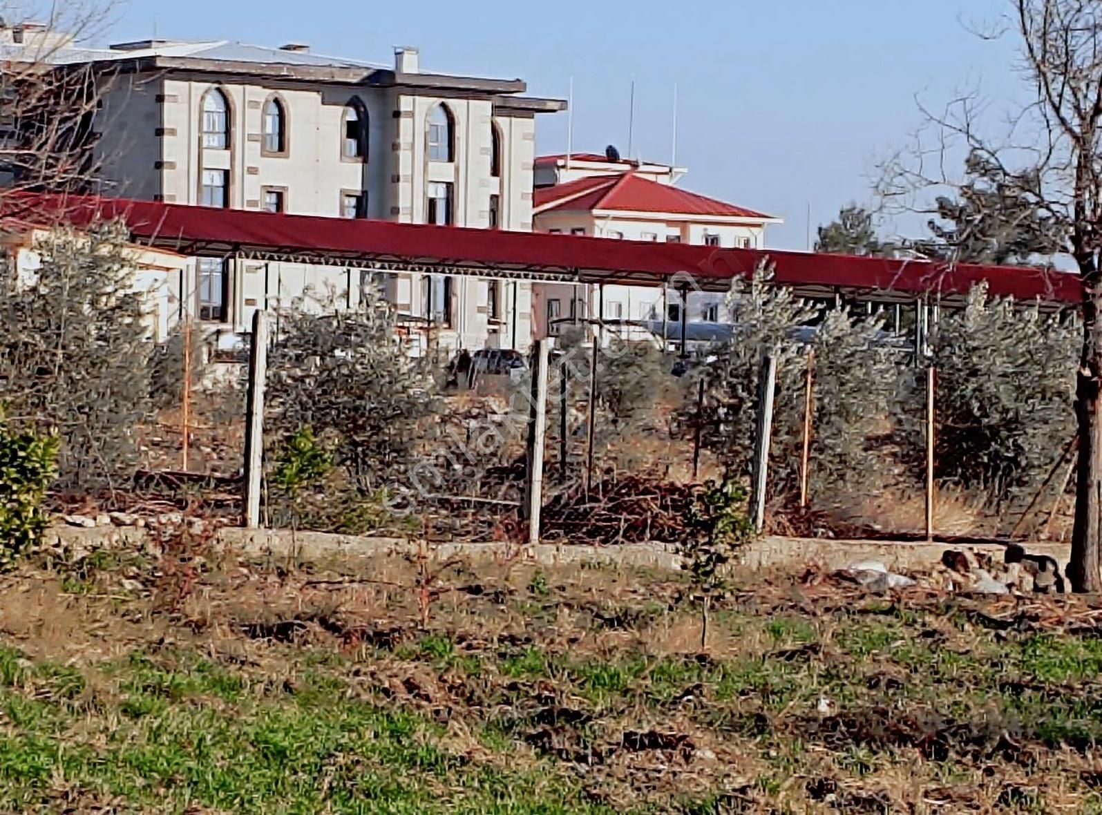 Sumbas Karaömerli Satılık Konut İmarlı Gök Emlaktan Sumbasta Tüm İhtiyaçlara Cevap Verecek Ev Ve Arsa