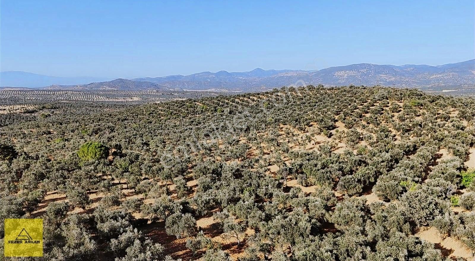 Burhaniye Yunuslar Satılık Konut İmarlı Yunuslar Köyünde İmar Sınırı İçerisinde 900m2 Tarla