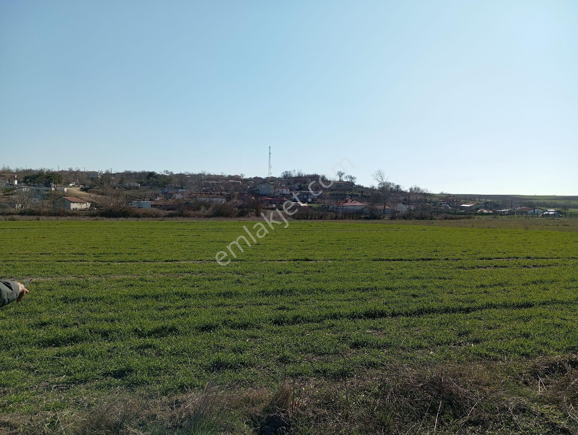 Uzunköprü Muhacırkadı Köyü Satılık Tarla Edirne Uzunköprü Muhacırkadı Köydibi 1,169m2 Tektapu Bahçe Yeri