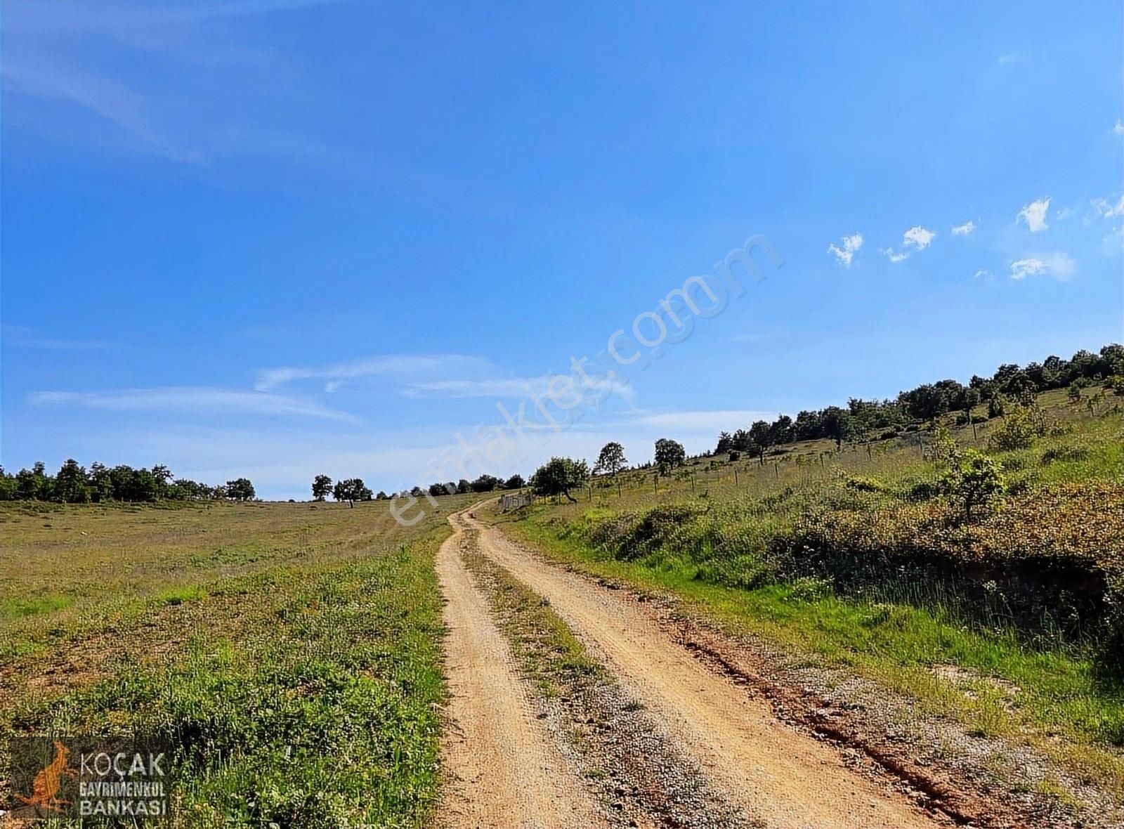 Bayındır Köyünde Organik Tarıma Uygun 10250 M Yol Cepheli Arazi - Görsel 6