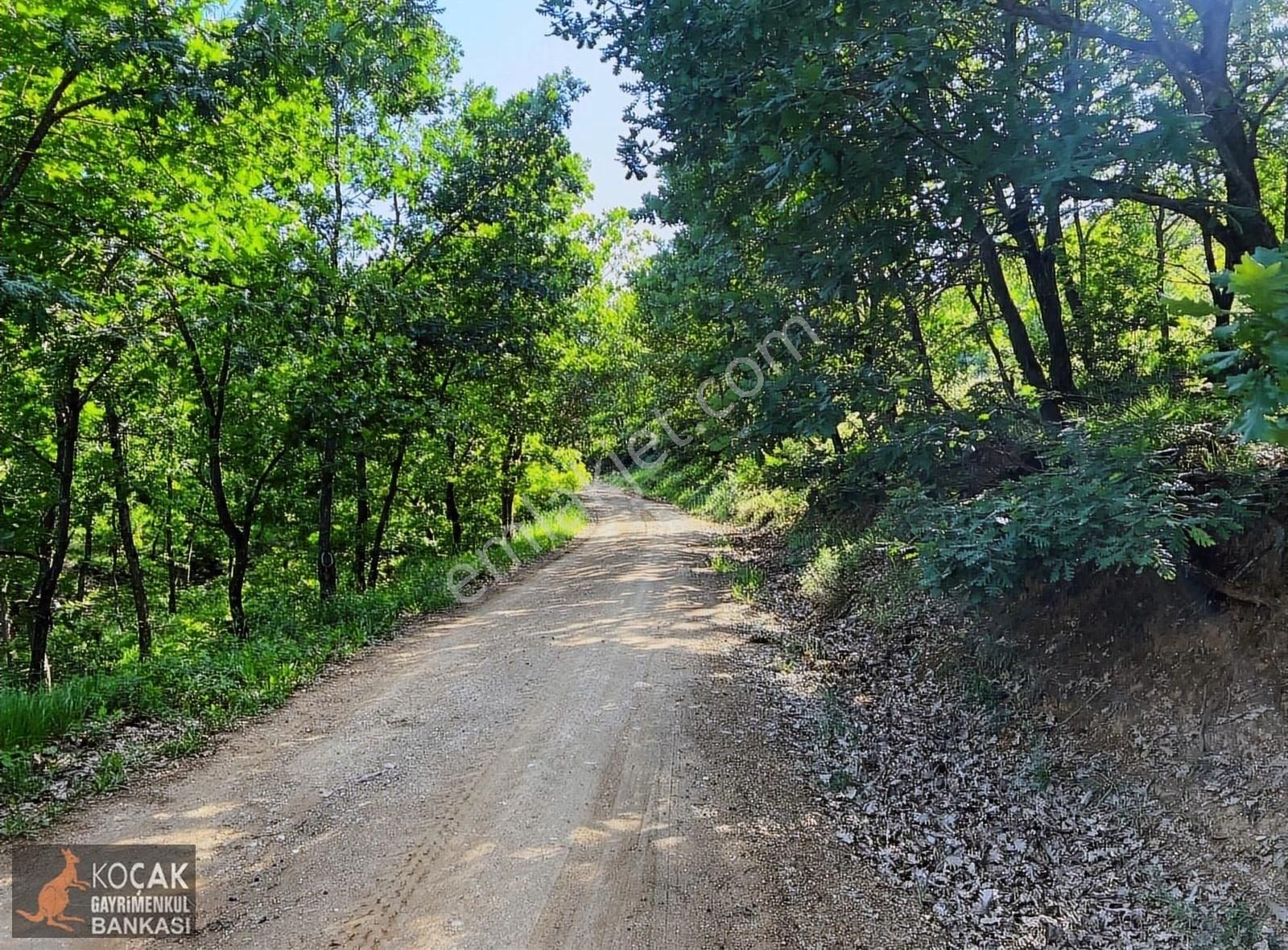 Bayındır Köyünde Organik Tarıma Uygun 10250 M Yol Cepheli Arazi - Görsel 3