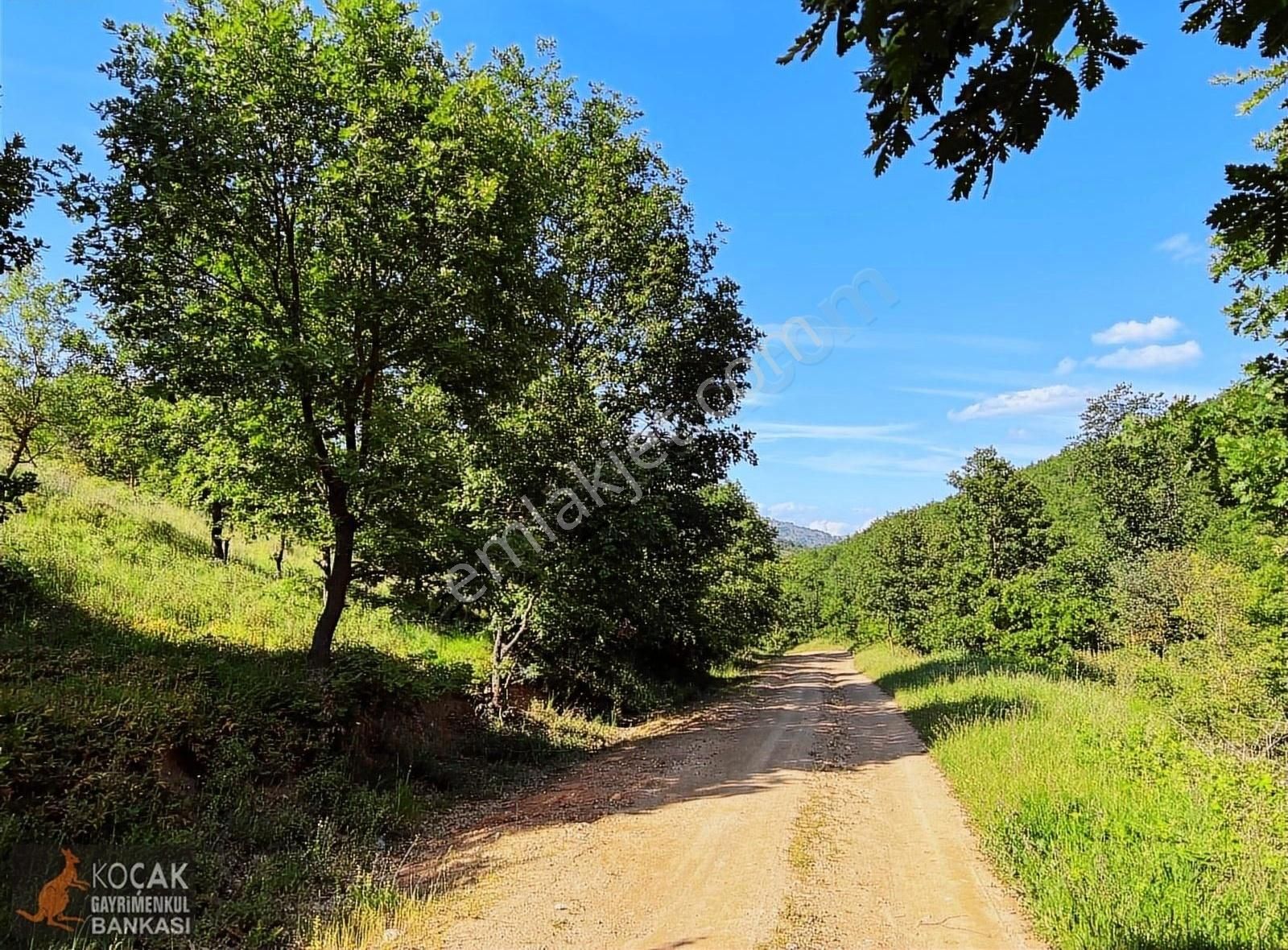 Bayındır Köyünde Organik Tarıma Uygun 10250 M Yol Cepheli Arazi - Görsel 4