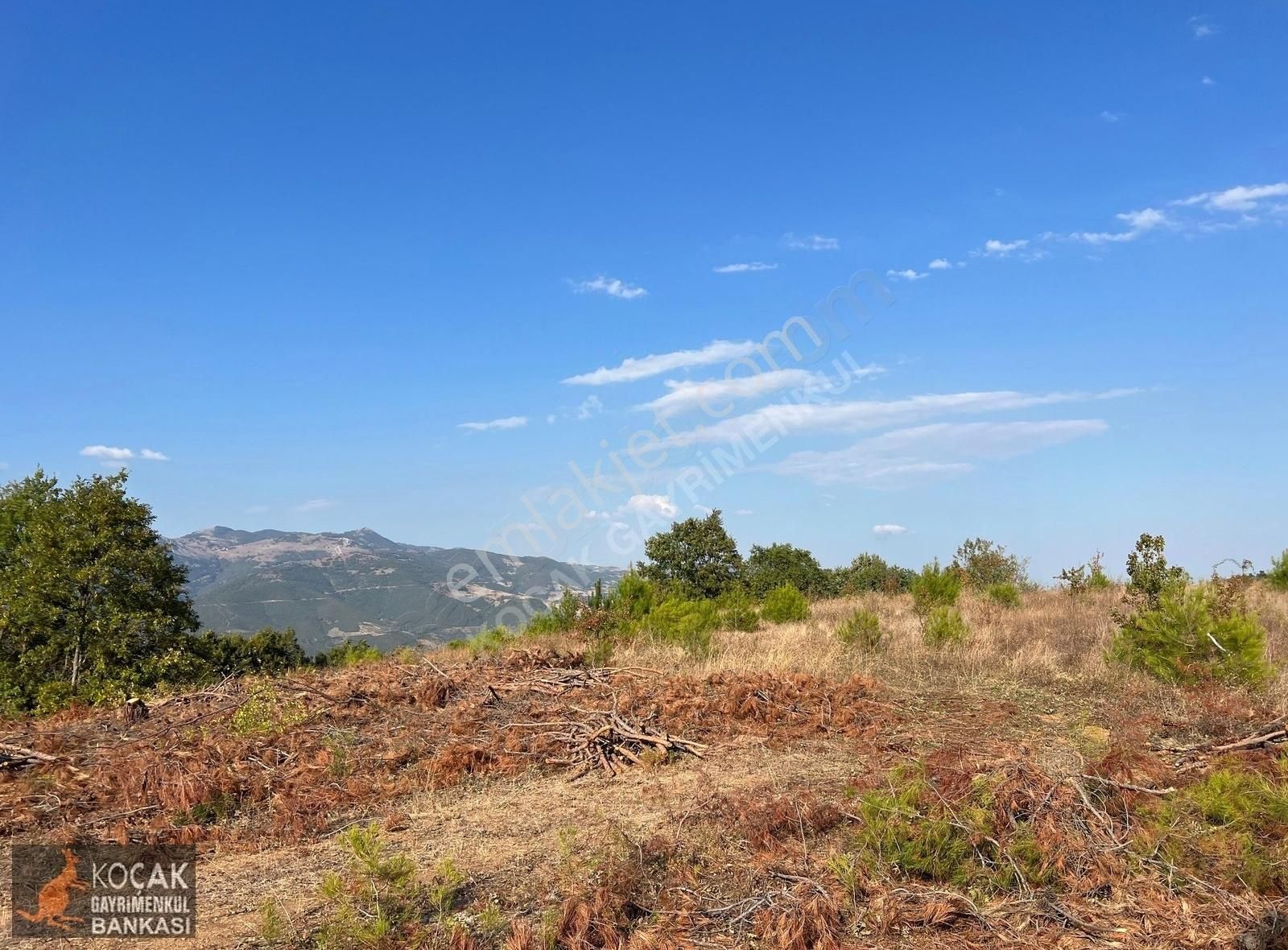 Çamoluk Mahallesinde Göl Gören Köy Yakını 6496m2 Satılık Arazi - Görsel 12