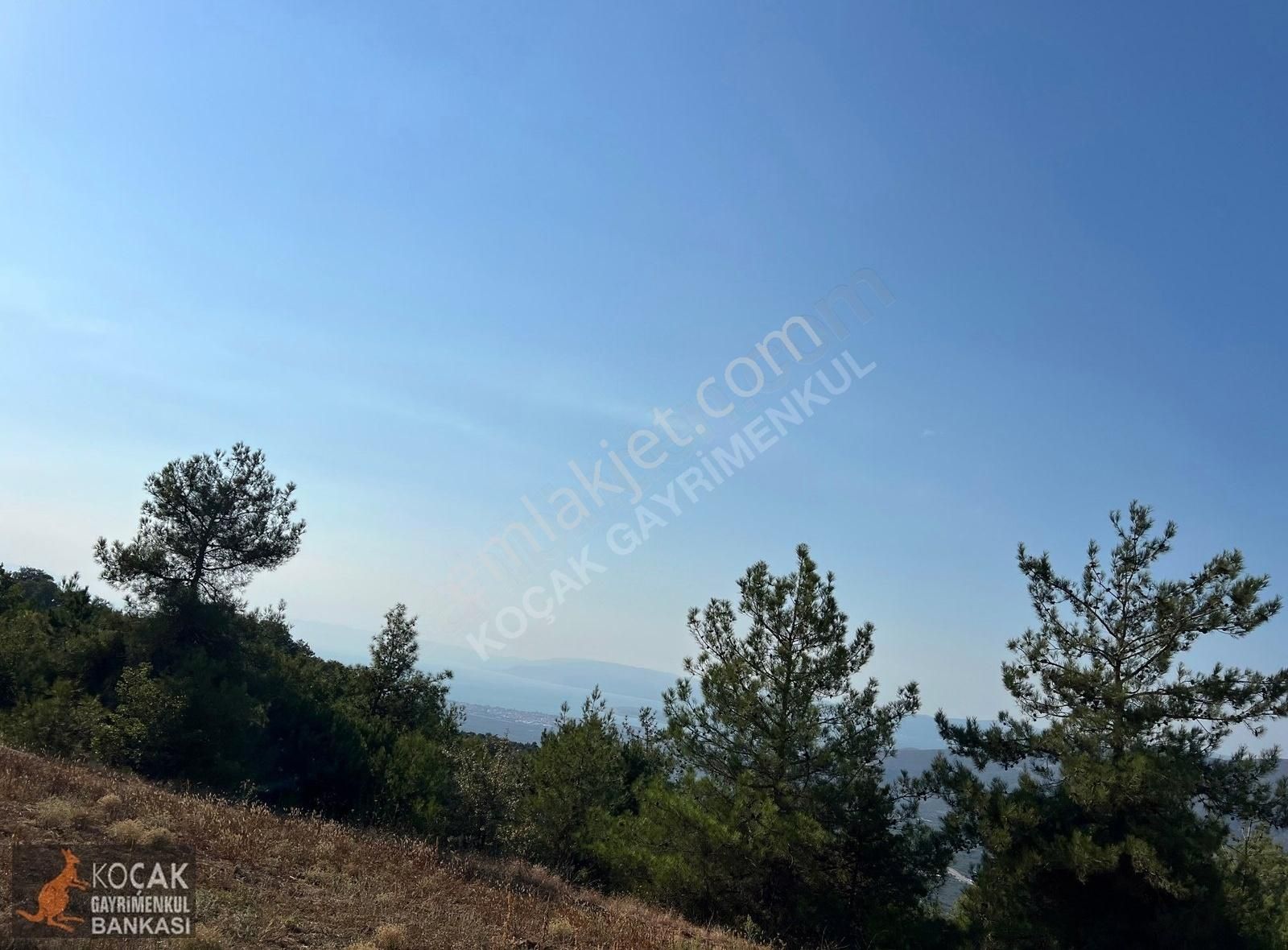 Çamoluk Mahallesinde Göl Gören Köy Yakını 6496m2 Satılık Arazi - Görsel 2