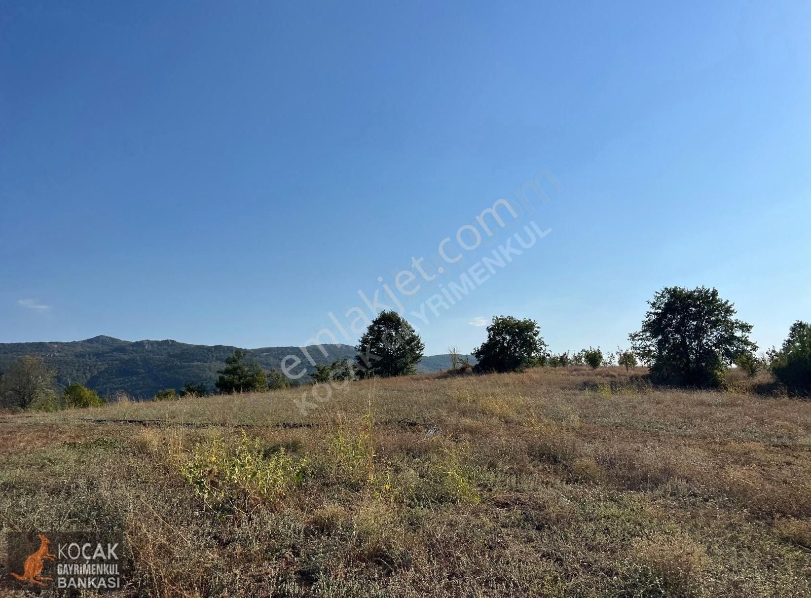 Çamoluk Mahallesinde Göl Gören Köy Yakını 6496m2 Satılık Arazi - Görsel 10