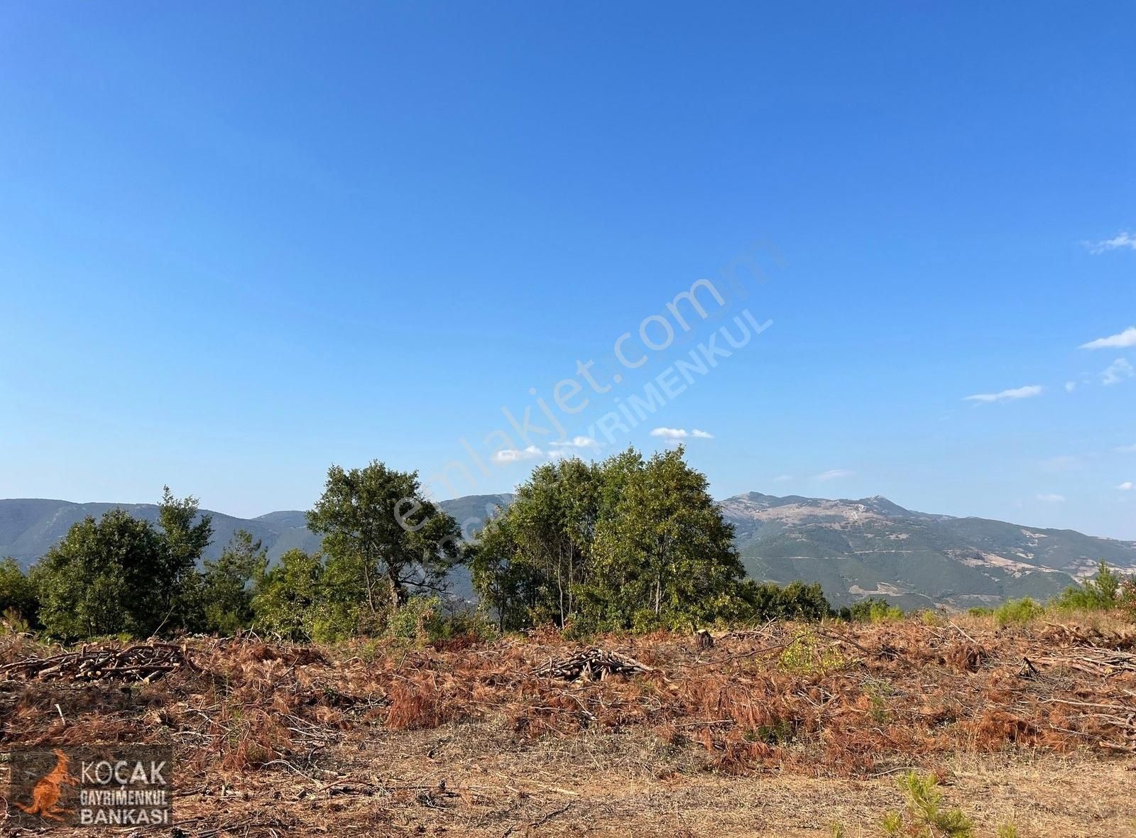 Çamoluk Mahallesinde Göl Gören Köy Yakını 6496m2 Satılık Arazi - Görsel 6