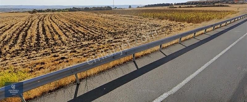 Keşan Paşayiğit Satılık Tarla Satılık Edirne Keşan Otoyola Cepheli Fırsat Arazi