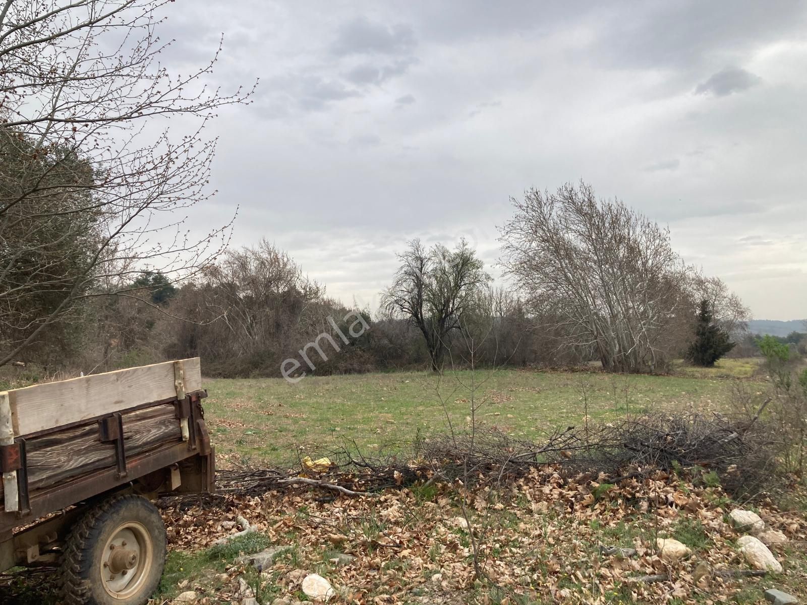 Çanakkale Bayramiç Zeytinli Köyünde Yola Cephe 1.700 M2 Tarla