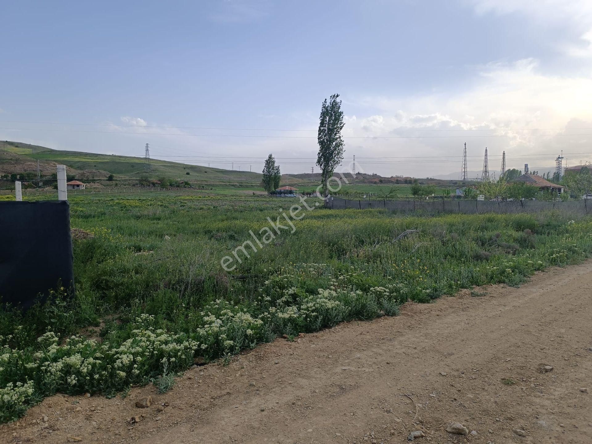 Kırıkkale Merkez Hacılar Bld. (Altınova) Satılık Bağ & Bahçe Kirikkale Hacılar Ovacik Mevkisinde Yola Cephe Arsa