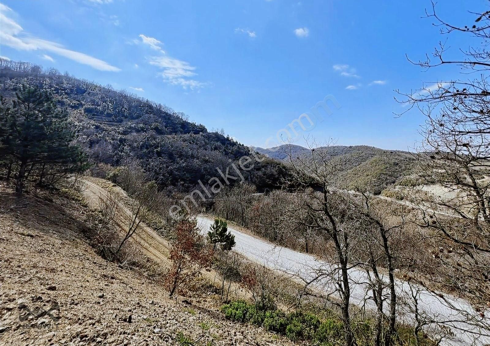 Gemlik Güvenli Satılık Tarla Gemlik Güvenli Köyü Satılık Yola Cephe Arazi