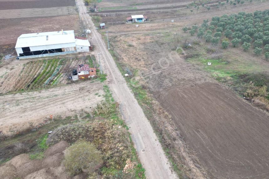 Bursa Mudanya Ülkü Köyde Fırsat Arsa - Görsel 3