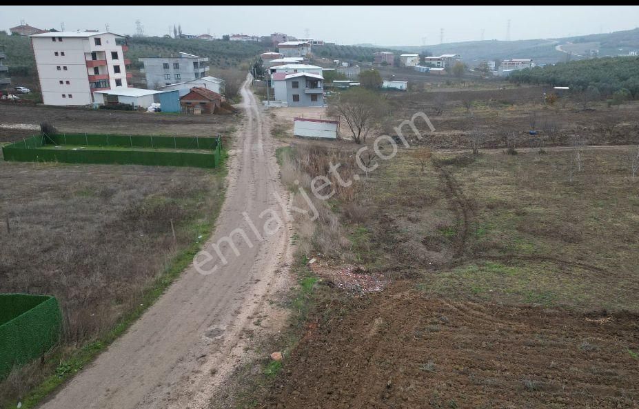 Mudanya Ülkü Satılık Konut İmarlı Bursa Mudanya Ülkü Köyde Fırsat Arsa