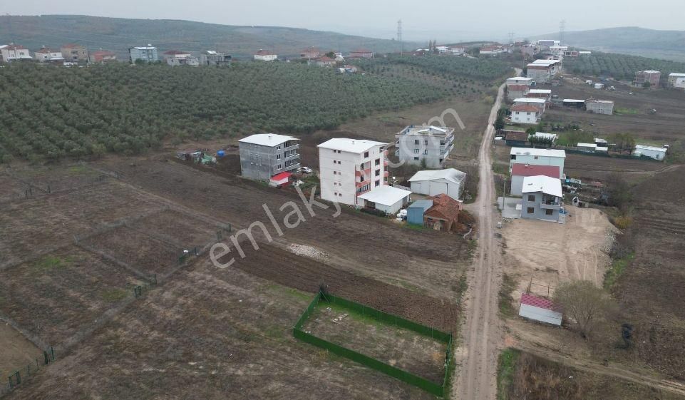 Bursa Mudanya Ülkü Köyde Fırsat Arsa - Görsel 2