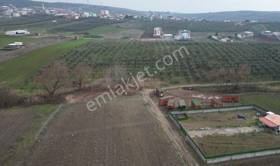 Bursa Mudanya Ülkü Köyde Fırsat Hobi Bahçelik Tarla - Görsel 9