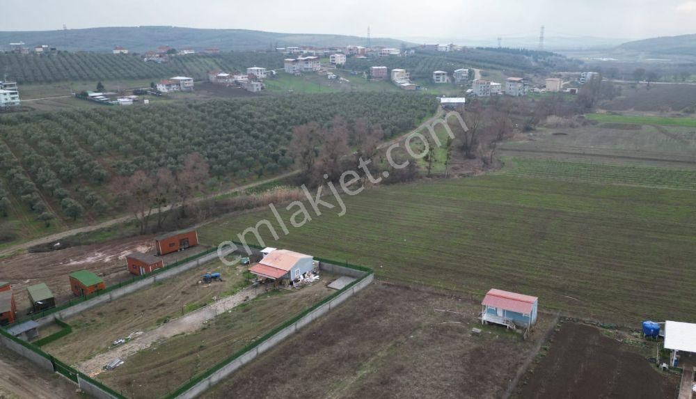 Bursa Mudanya Ülkü Köyde Fırsat Hobi Bahçelik Tarla - Görsel 3