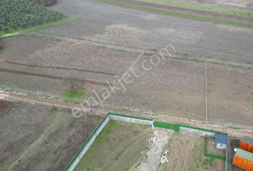 Bursa Mudanya Ülkü Köyde Fırsat Hobi Bahçelik Tarla - Görsel 5