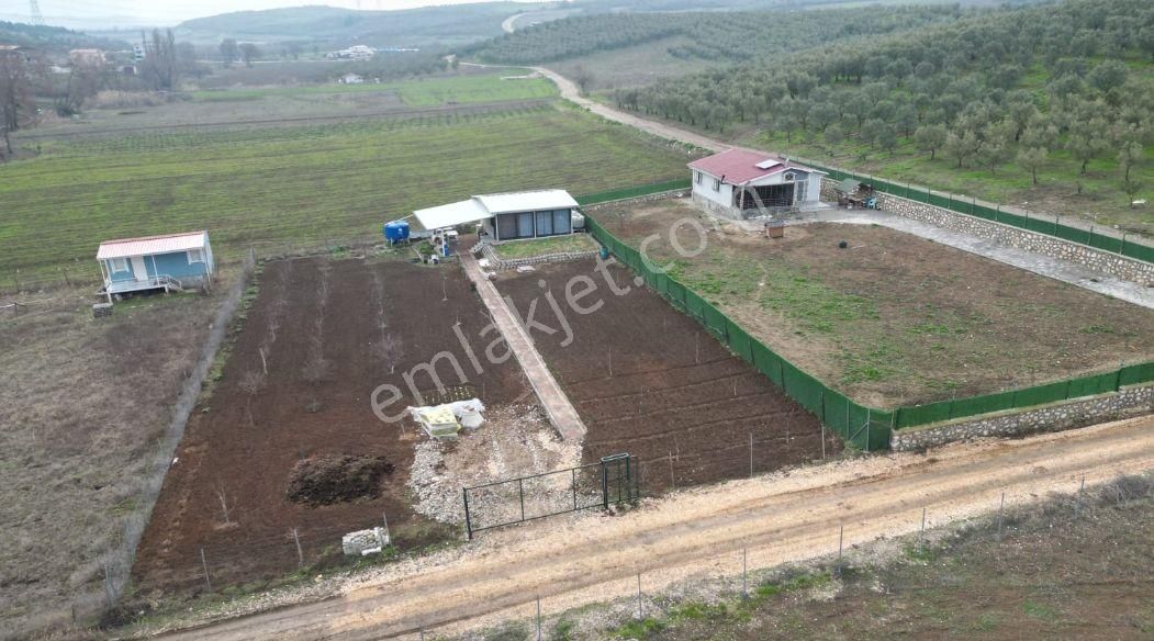 Bursa Mudanya Ülkü Köyde Fırsat Hobi Bahçelik Tarla - Görsel 10