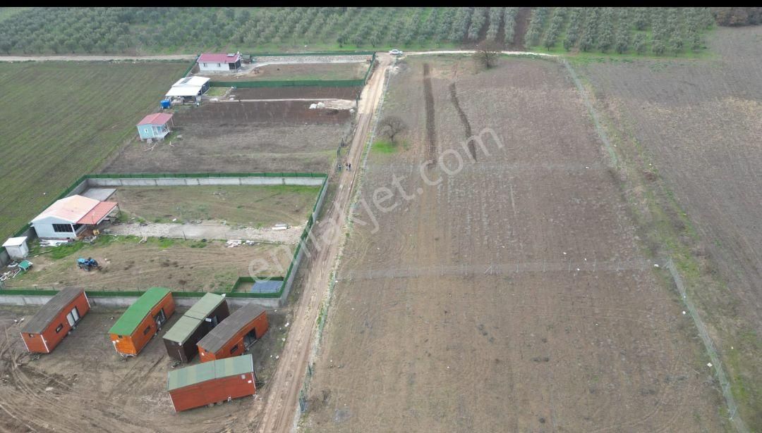 Bursa Mudanya Ülkü Köyde Fırsat Hobi Bahçelik Tarla - Görsel 4