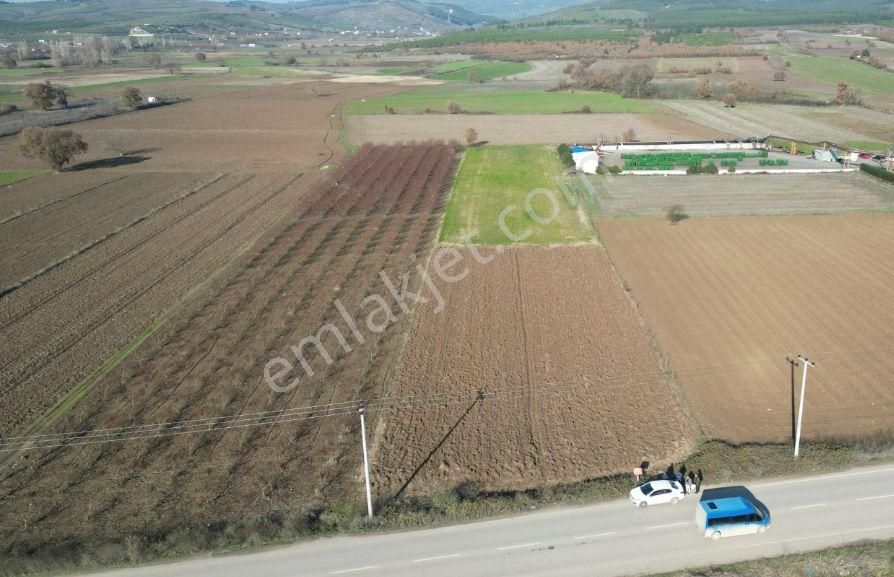 Mudanya Çekrice Satılık Tarla Bursa Mudanya Çekricede Asvalta Sıfır Fırsat Tarla