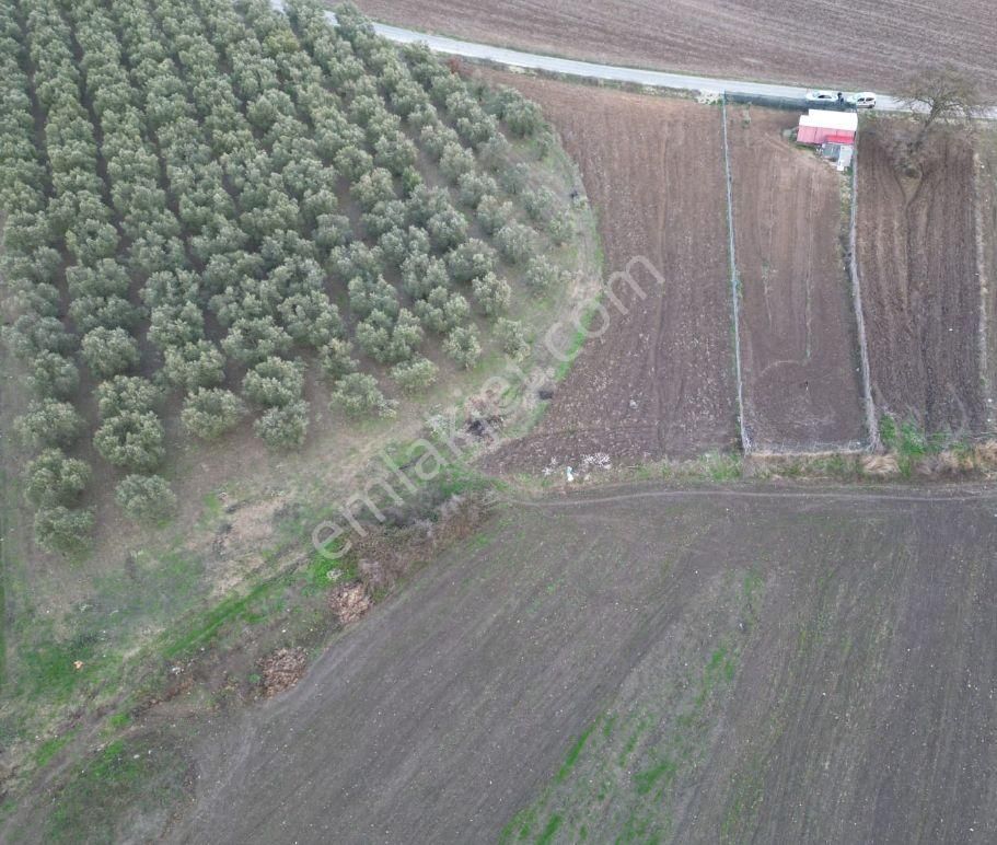 Bursa Mudanya Hançerlide Asvalta Cephe - Görsel 2