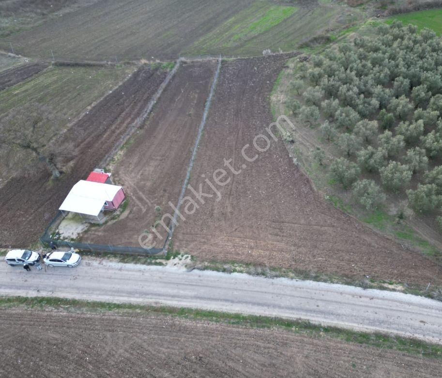 Mudanya Hançerli Satılık Tarla Bursa Mudanya Hançerlide Asvalta Cephe