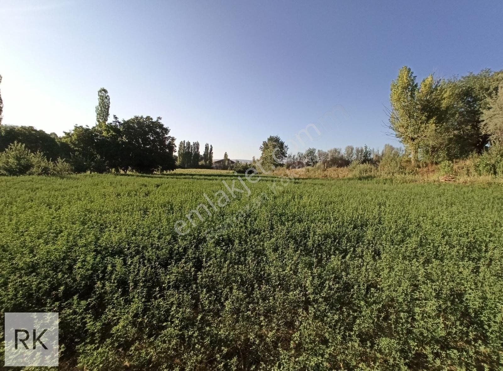 Isparta Yalvaç Kurusarı Köy Yerleşim Alanı İçinde İmarlı Arsa