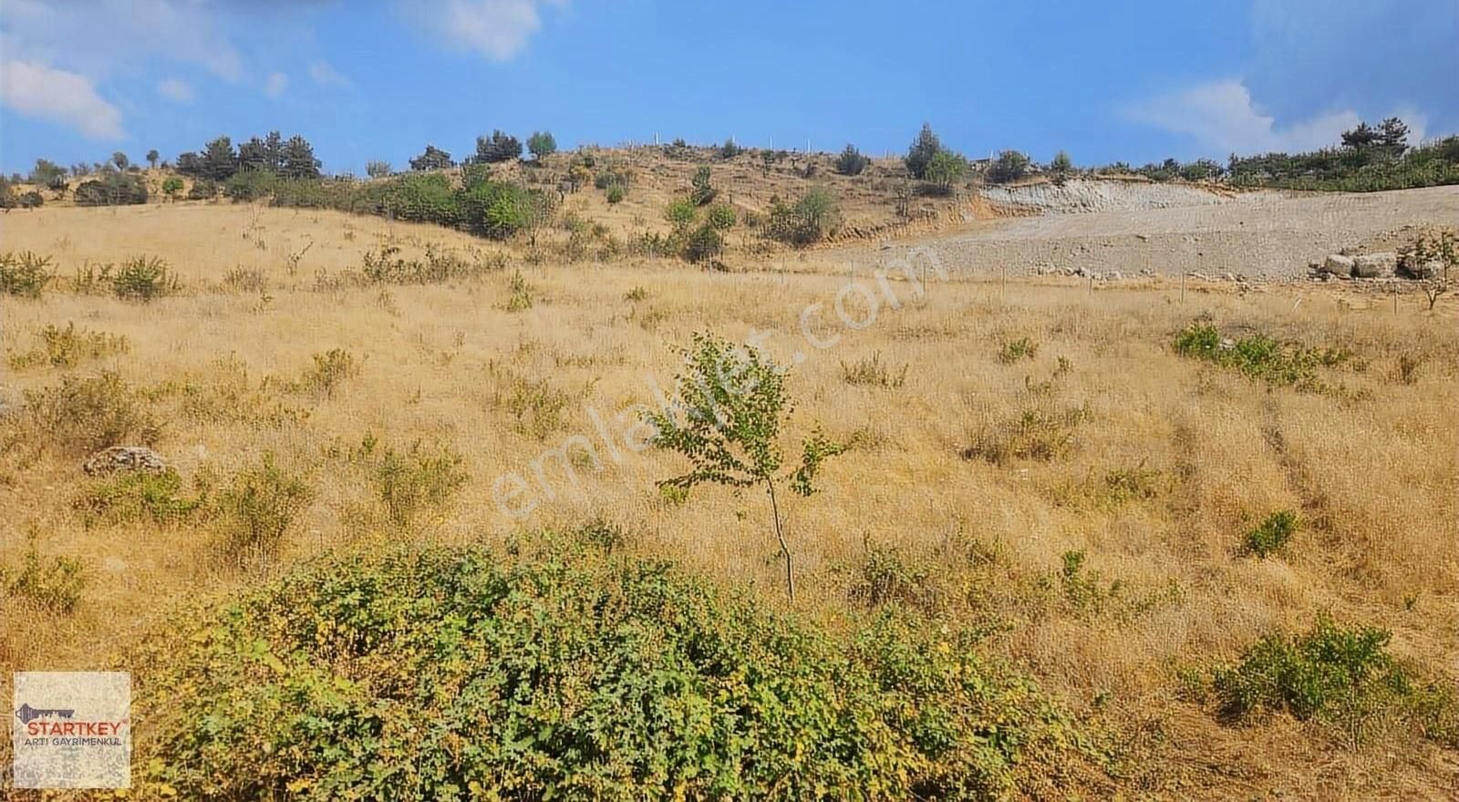 Kemalpaşa Damlacık 1000 M2 Satılık Arazi - Görsel 3