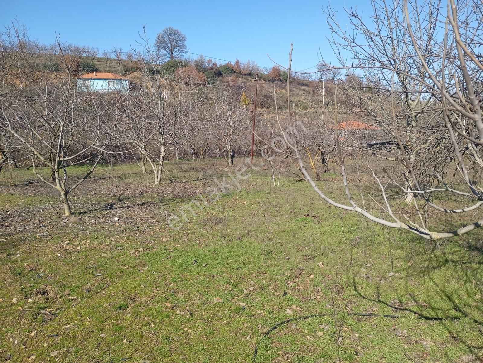 Turgutlu Dağyeniköy Satılık Arazi Ağabey Gayrimenkul Den Dağyeniköy'de Satılık Arsa