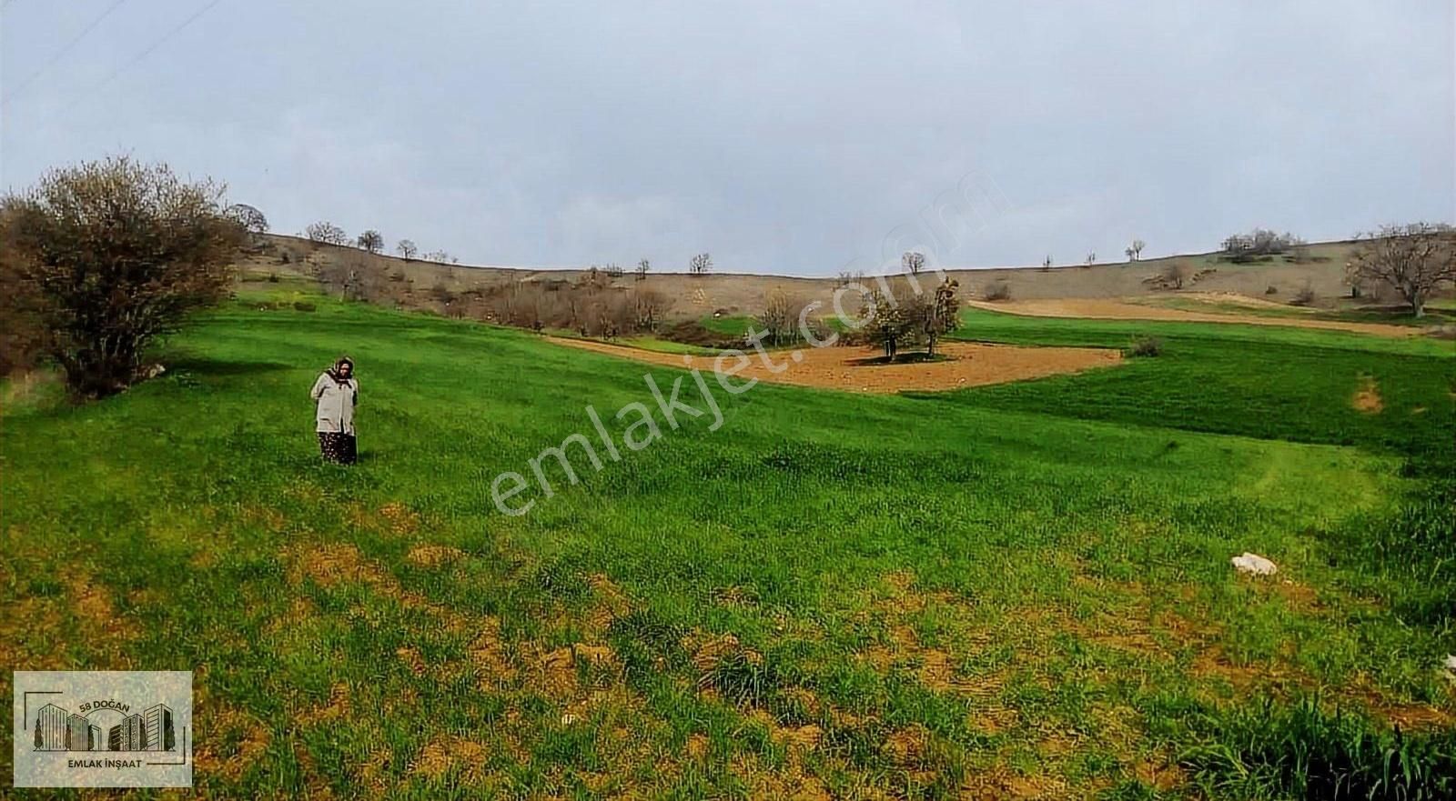 Yenişehir Afşar Satılık Tarla Bursa Yenişehir'de Satılık 1.632..metre Tarla...