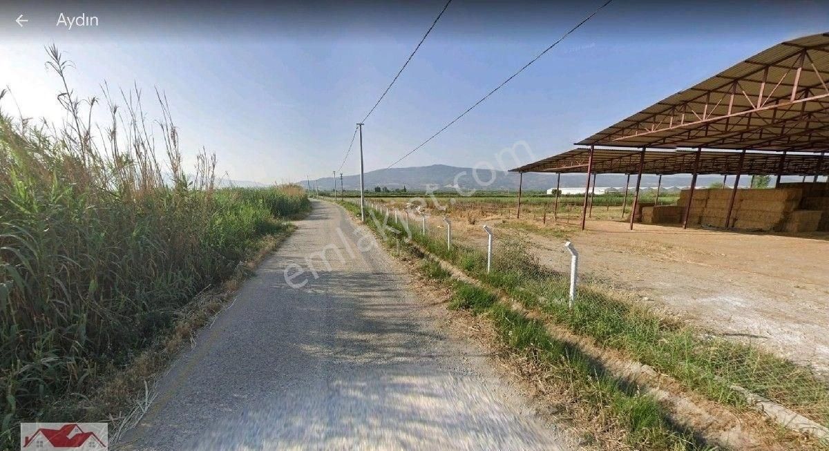 Aydın Sultanhisar Atça'da 32 Dönüm İçinde Ev Ve 8000 M2 300 Başlık Ahırlı,elektrik Suyu Olan Çiftlik - Görsel 2