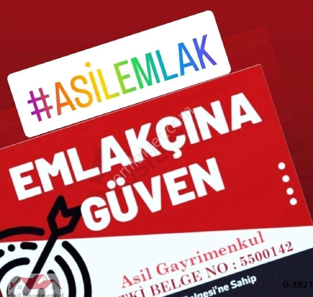 Aydın Sultanhisar Atça'da 32 Dönüm İçinde Ev Ve 8000 M2 300 Başlık Ahırlı,elektrik Suyu Olan Çiftlik - Görsel 10