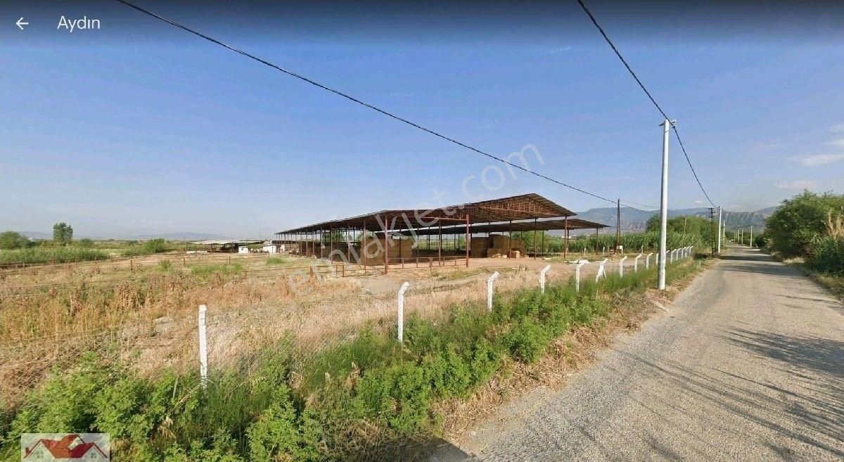 Aydın Sultanhisar Atça'da 32 Dönüm İçinde Ev Ve 8000 M2 300 Başlık Ahırlı,elektrik Suyu Olan Çiftlik - Görsel 11