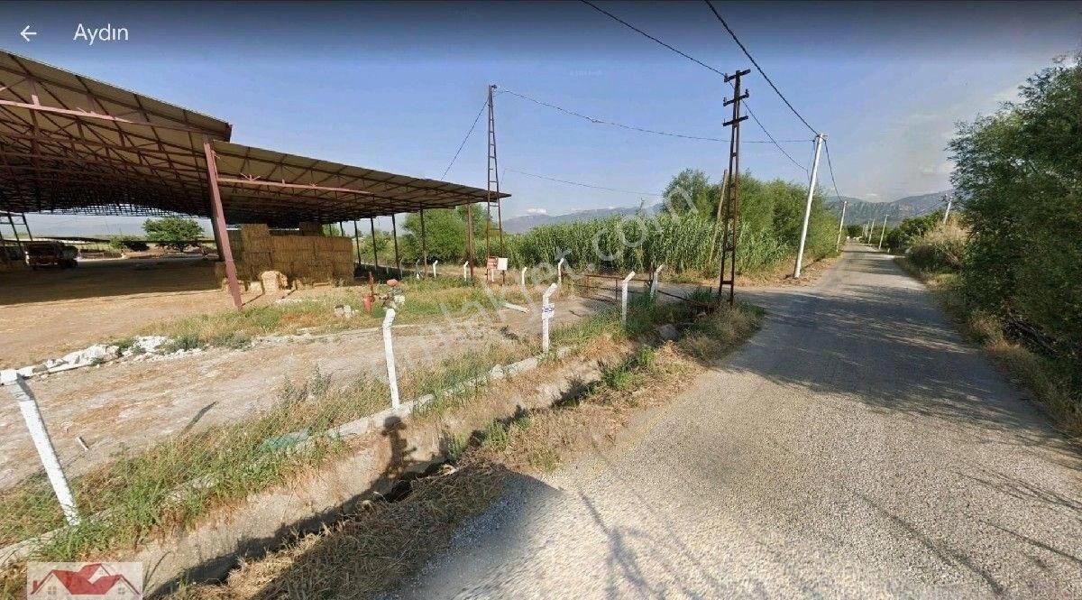 Aydın Sultanhisar Atça'da 32 Dönüm İçinde Ev Ve 8000 M2 300 Başlık Ahırlı,elektrik Suyu Olan Çiftlik - Görsel 3