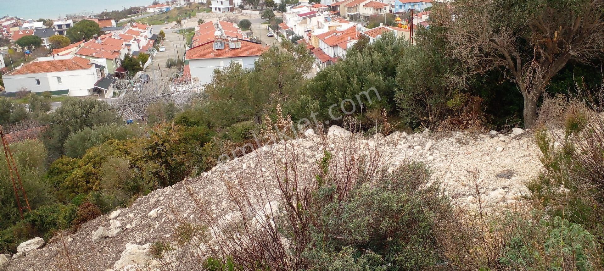 Karaburun Mordoğan Satılık Tarla Mor Çiçek Emlak Full Manzaralı Küçük Tarla