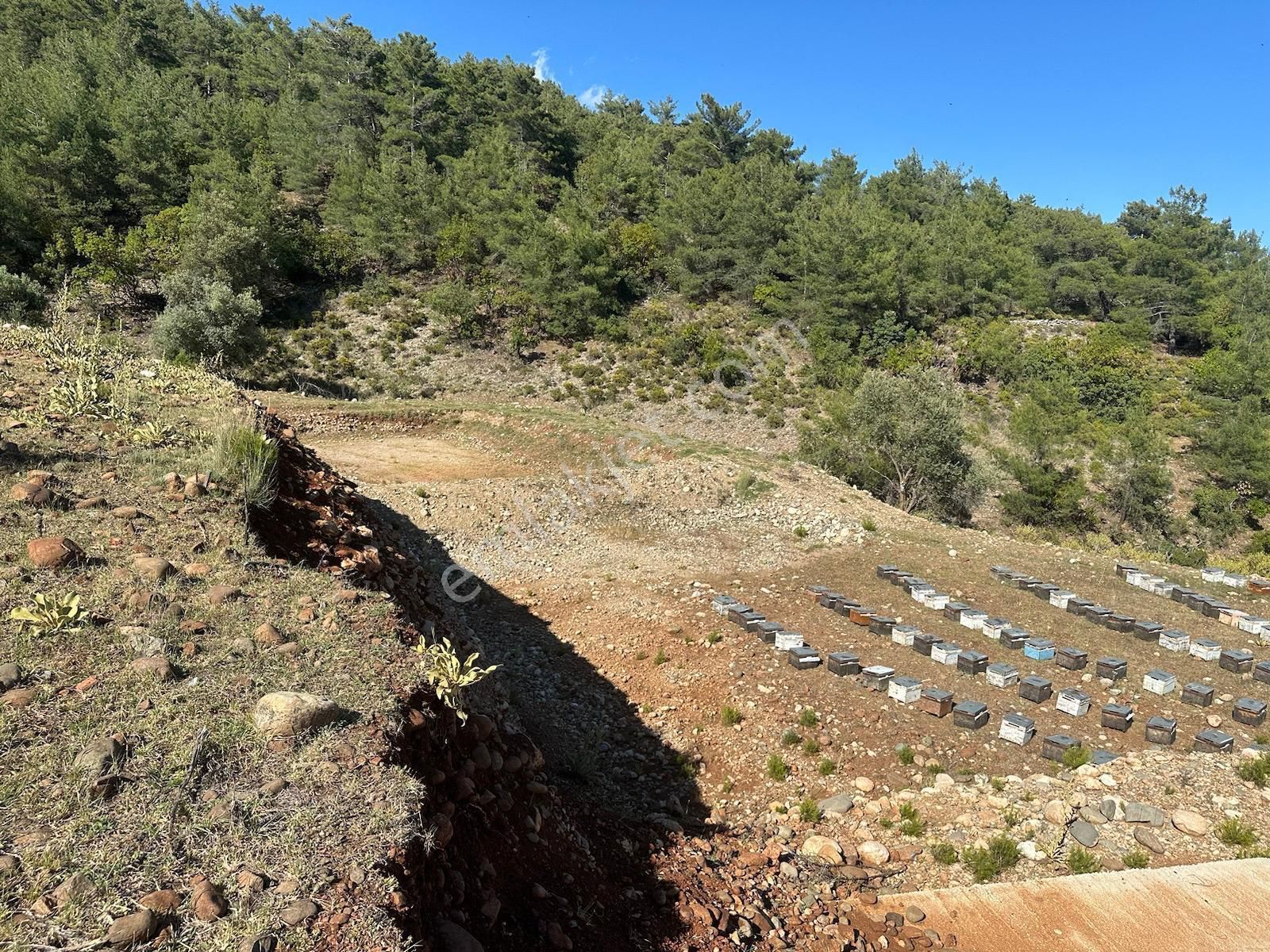 Arif Emlaktan Satılık Kaş Doğantaş'da Muhteşem Tarla - Görsel 2