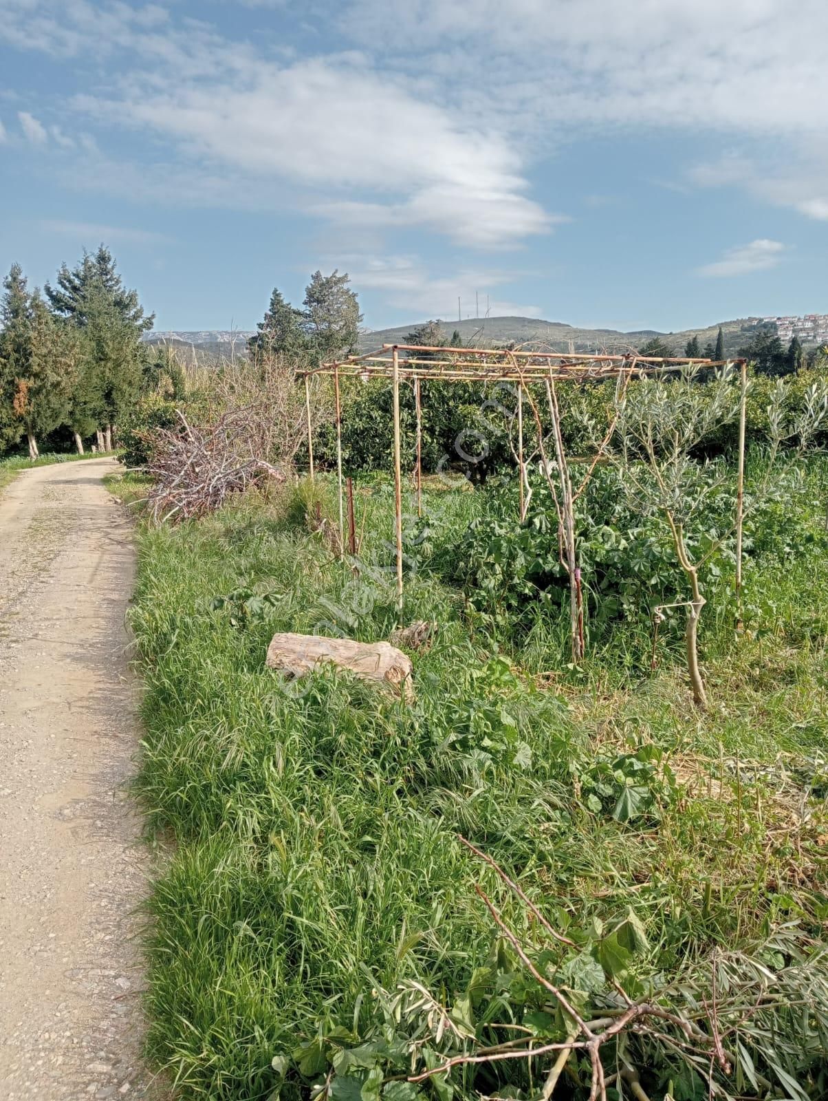 Karaburun Salman Köyü'nde 832 M2 Arazi - Görsel 8