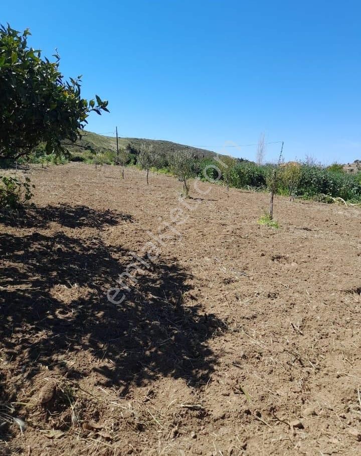 Karaburun Salman Köyü'nde 832 M2 Arazi - Görsel 7