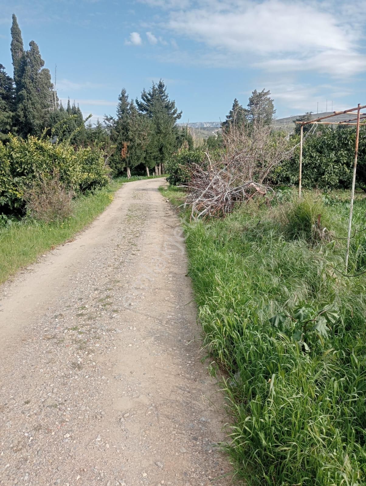 Karaburun Salman Köyü'nde 832 M2 Arazi - Görsel 9