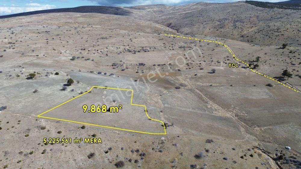 Ilgın Belekler Satılık Tarla 9.868 M² / Konya / Ilgın / Belekler / Tarla