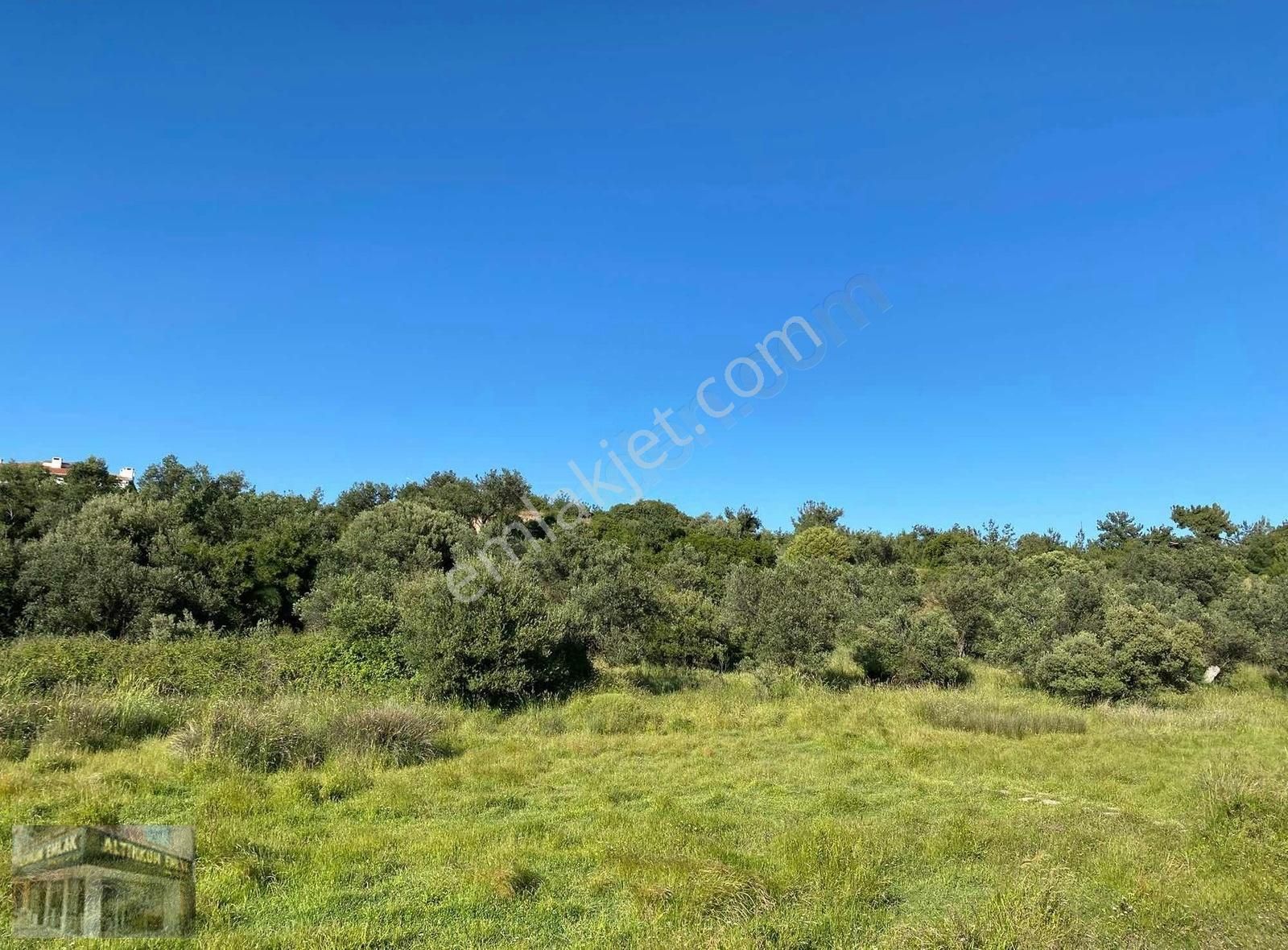 Ayvalık Sarımsaklı Badavut Mevkiinde Plaja Yakın Arsa - Görsel 6